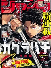 漫画类条目封面示意